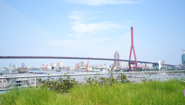 微信截图_20230713110200.png